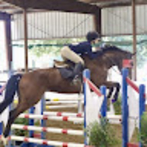 Meet your Posher, Sofie - Picture 1 of 1